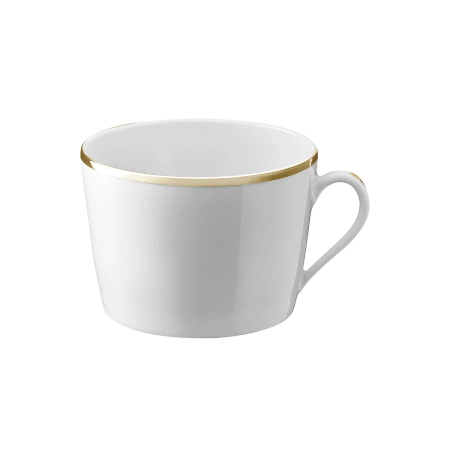 Degrenne Paris Eclipse Gold Galon Luxury Tableware Collection